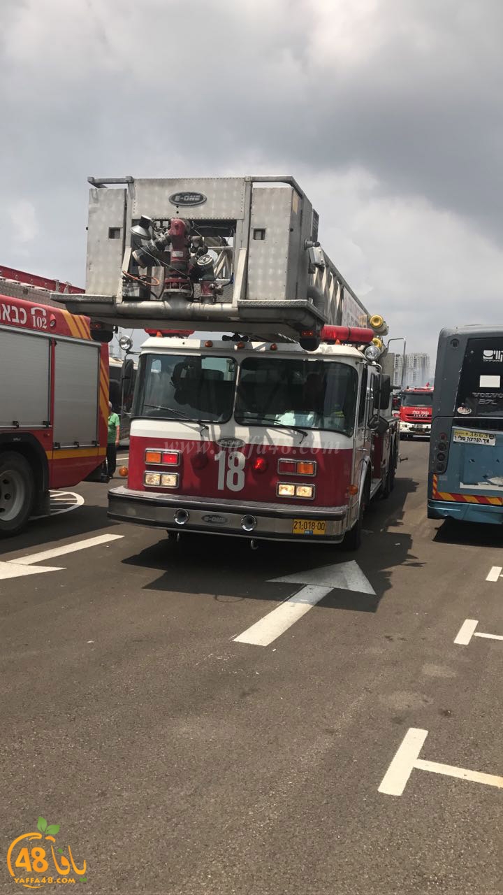 firbus eastyaffa (12).jpg